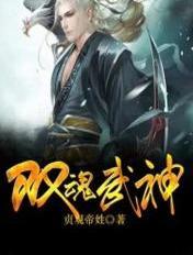 双魂武神封利