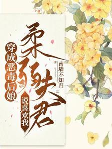 残疾夫君