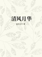 清风霁月