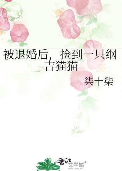 被退婚后,捡到一只纲吉猫猫热门爽文