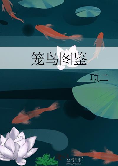 笼鸟图鉴的小说免费阅读下载