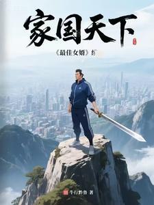 家国天下：【最佳女婿】续集