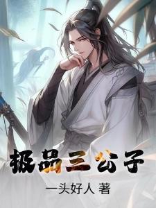 极品三公子